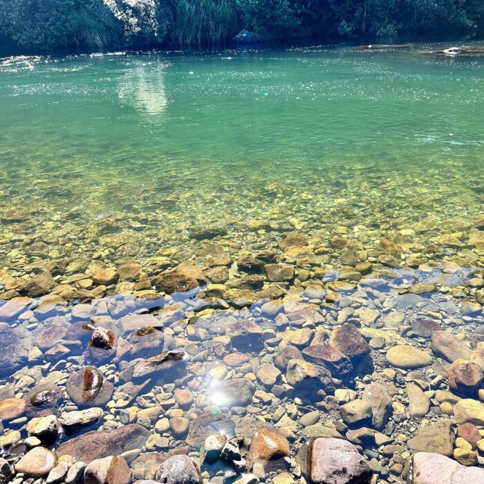 写真：カゴノオトから20分ほど 行った四万十川の源流の川の一つの 松葉川です