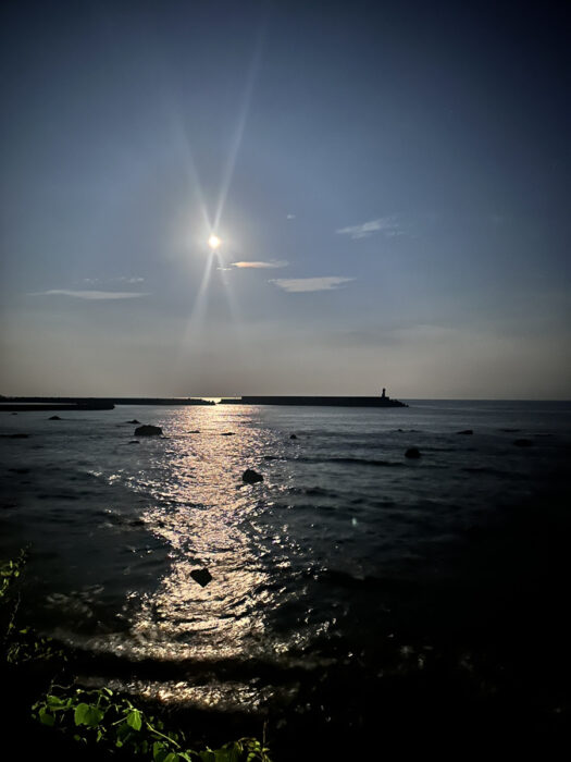 写真：海です