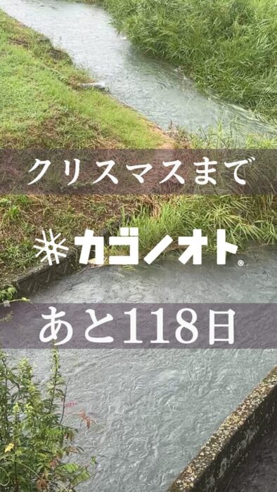 画像：クリスマスまであと118日です