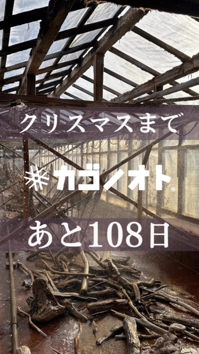 画像：クリスマスまであと108日です