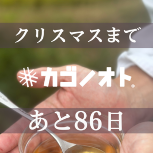 【クリスマスまであと86日】2024年シュトーレンおいしくなったポイントその5 しっとり感