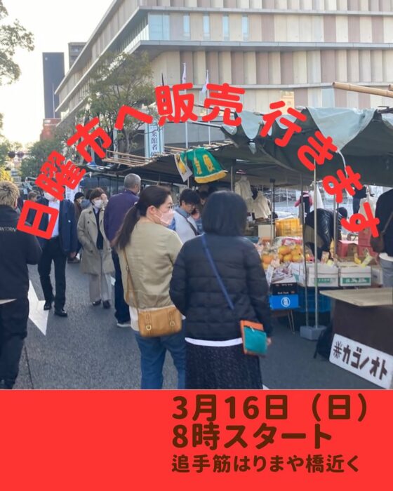 画像：日曜市へ行きます！